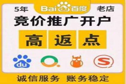 如何利用百度竞价代理：真实案例分析